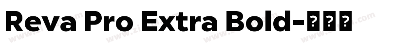 Reva Pro Extra Bold字体转换